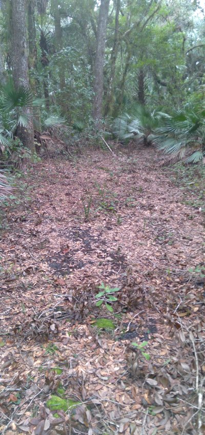 30 x 15 Unpaved Lot in Cocoa, Florida near [object Object]