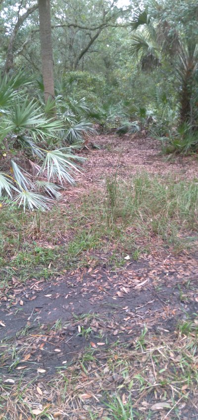 30 x 15 Unpaved Lot in Cocoa, Florida near [object Object]
