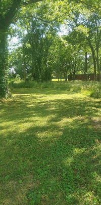 50 x 25 Unpaved Lot in Hollywood, Alabama