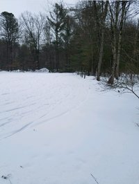 30 x 50 Unpaved Lot in Saratoga Springs, New York