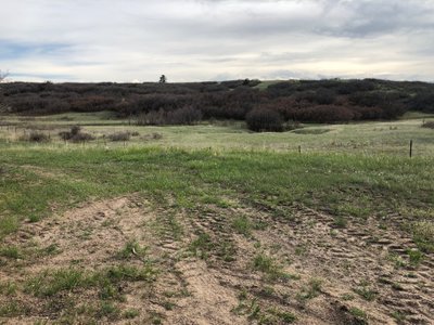 undefined x undefined Unpaved Lot in Castle Rock, Colorado