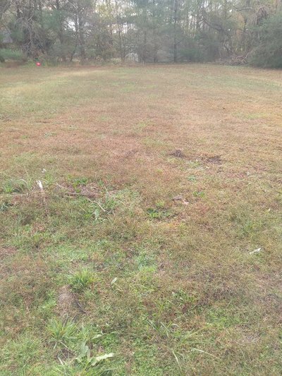 undefined x undefined Unpaved Lot in Dutton, Virginia