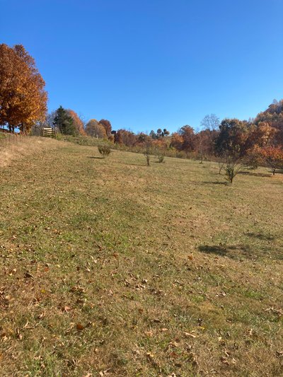 undefined x undefined Unpaved Lot in Tazewell, Tennessee