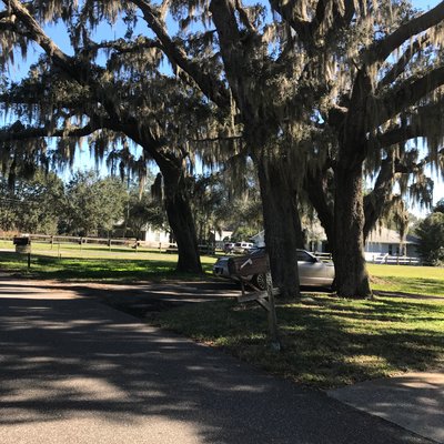 30 x 10 Unpaved Lot in Lutz, Florida
