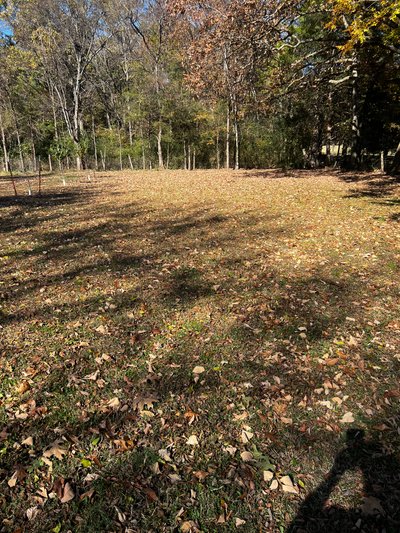 25 x 20 Unpaved Lot in Shelbyville, Tennessee