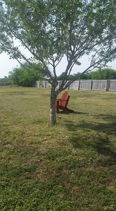 17 x 15 Unpaved Lot in San Juan, Texas near [object Object]