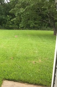 20 x 10 Unpaved Lot in Beaumont, Texas