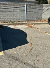 20 x 10 Parking Lot in Eastpointe, Michigan