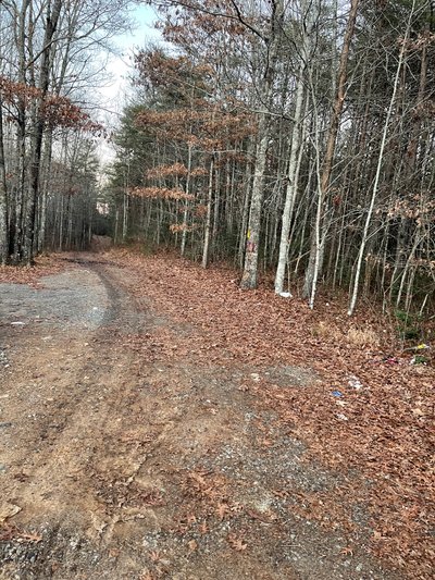 50 x 10 Unpaved Lot in Farner, Tennessee
