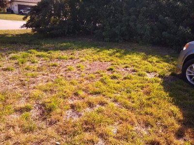 24 x 10 Unpaved Lot in Port Charlotte, Florida near [object Object]
