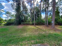 55 x 12 Unpaved Lot in St. Cloud, Florida