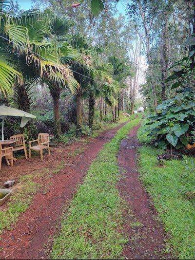 30 x 10 Unpaved Lot in Mountain View, Hawaii