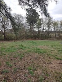 50 x 20 Unpaved Lot in Crossville, Alabama