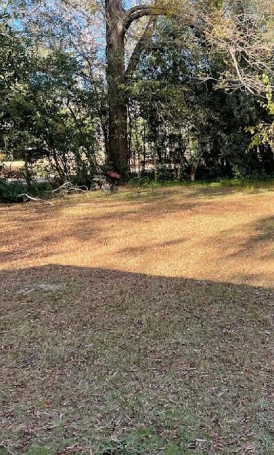 40 x 10 Unpaved Lot in Darlington, South Carolina near [object Object]