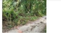 20 x 40 Unpaved Lot in Citra, Florida