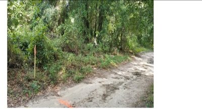 20 x 40 Unpaved Lot in Citra, Florida near [object Object]