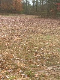 40 x 40 Unpaved Lot in Providence Forge, Virginia