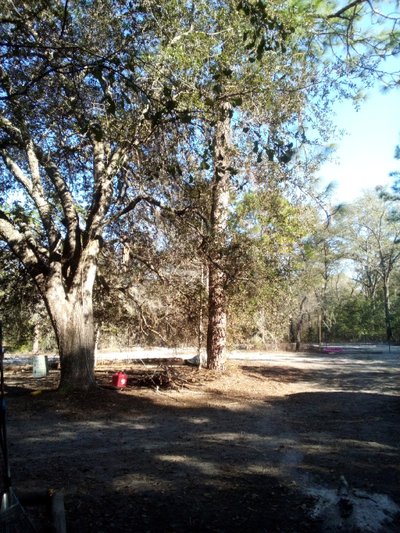 undefined x undefined Unpaved Lot in Jasper, Florida