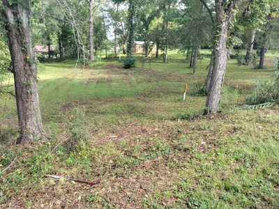 undefined x undefined Unpaved Lot in Repton, Alabama