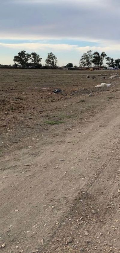 undefined x undefined Unpaved Lot in Oakley, California