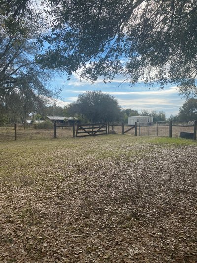 undefined x undefined Unpaved Lot in Umatilla, Florida