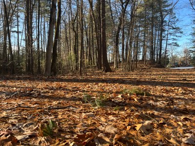 35 x 10 Unpaved Lot in Nashua, New Hampshire near [object Object]