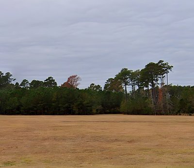 undefined x undefined Unpaved Lot in Myrtle Beach, South Carolina