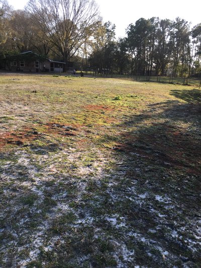 40 x 20 Unpaved Lot in Lakeland, Florida near [object Object]