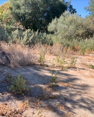 25×12 Unpaved Lot in Banning, California