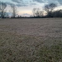 40 x 20 Unpaved Lot in Jayess, Mississippi