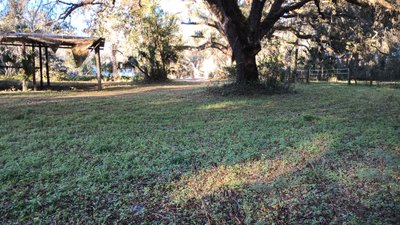 undefined x undefined Unpaved Lot in Coleman, Florida