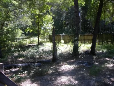 undefined x undefined Unpaved Lot in Altoona, Florida
