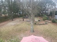 80 x 60 Unpaved Lot in Mt Pleasant, South Carolina