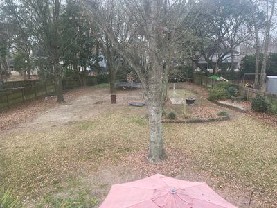 undefined x undefined Unpaved Lot in Mt Pleasant, South Carolina
