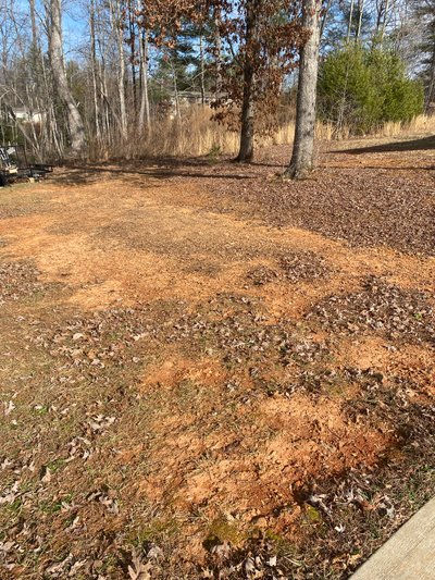 20 x 10 Unpaved Lot in Lenoir, North Carolina