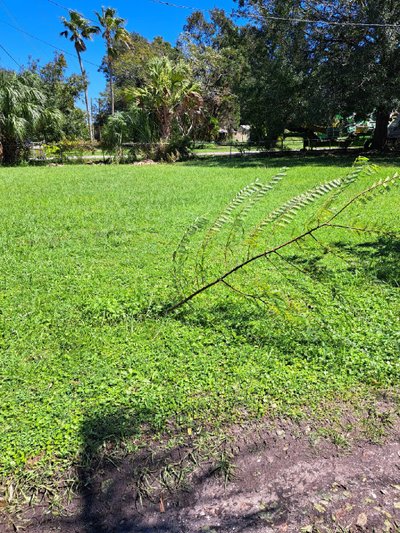 20 x 20 Unpaved Lot in Gibsonton, Florida