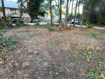 20 x 10 Unpaved Lot in Niceville, Florida near [object Object]