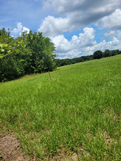 50 x 10 Unpaved Lot in Wesley Chapel, Florida