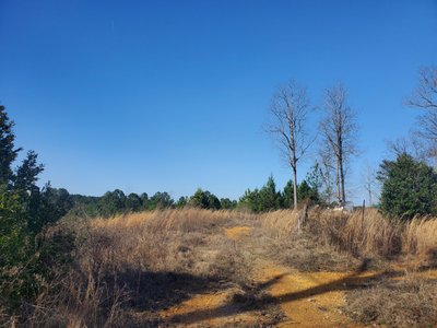 20×30 Unpaved Lot in Gardendale, Alabama