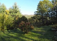40 x 20 Unpaved Lot in Danby, Vermont