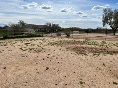20×30 Unpaved Lot in Phoenix, Arizona