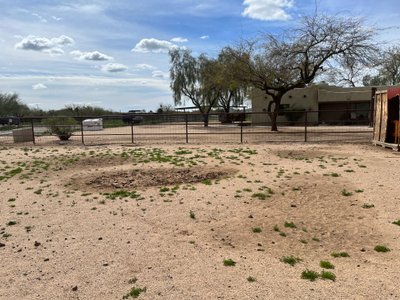 10×30 Unpaved Lot in Phoenix, Arizona