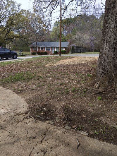 Small 10×20 Unpaved Lot in Center Point, Alabama