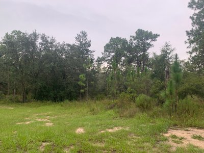 30 x 10 Unpaved Lot in Dunnellon, Florida near [object Object]