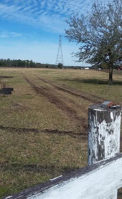 60 x 20 Unpaved Lot in Lakeland, Florida near [object Object]