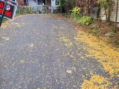 51 x 25 Driveway in Cohoes, New York near [object Object]