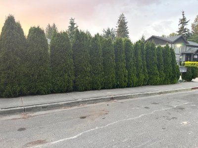 20 x 20 Other in Everett, Washington near [object Object]