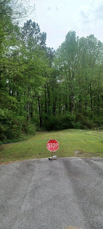 50 x 15 Unpaved Lot in Gadsden, Alabama near [object Object]