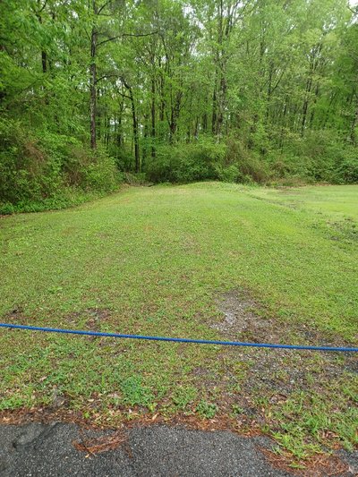 Medium 15×50 Unpaved Lot in Gadsden, Alabama