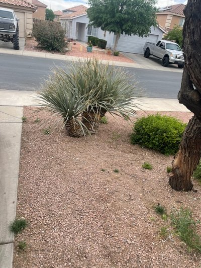 Small 10×20 Unpaved Lot in El Mirage, Arizona